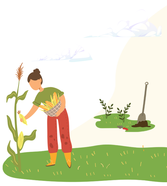 Corn Supplier Malaysia
