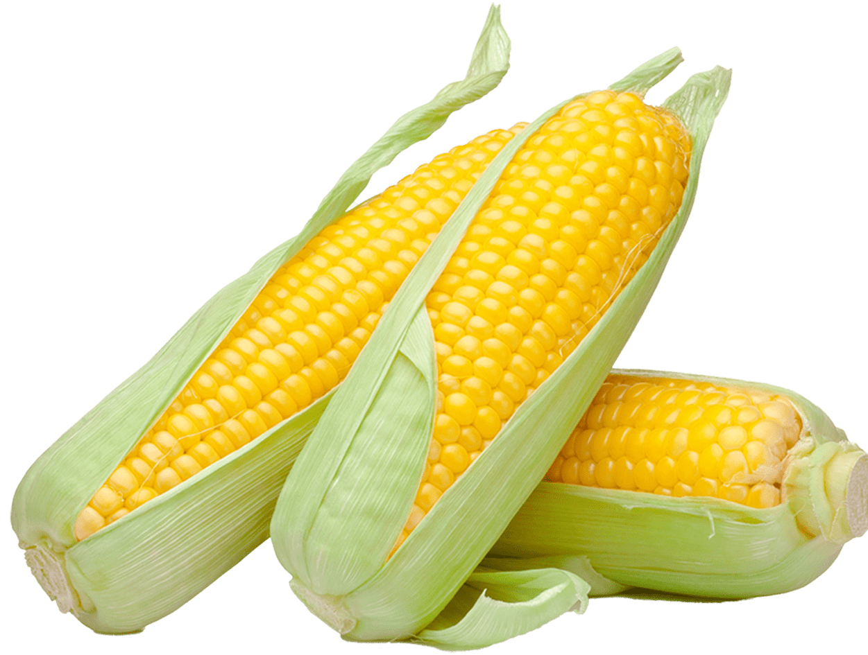 Sweet Corn Malaysia